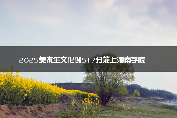2025美术生文化课517分能上湘南学院吗