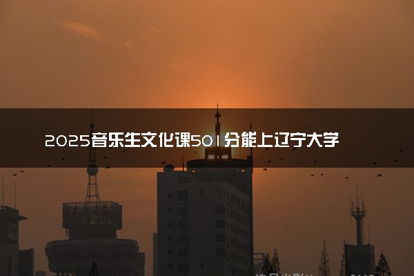 2025音乐生文化课501分能上辽宁大学吗