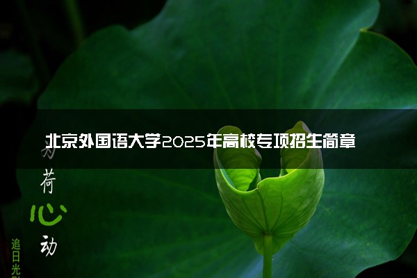 北京外国语大学2025年高校专项招生简章 招生专业及计划