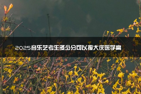 2025音乐艺考生多少分可以报大庆医学高等专科学校