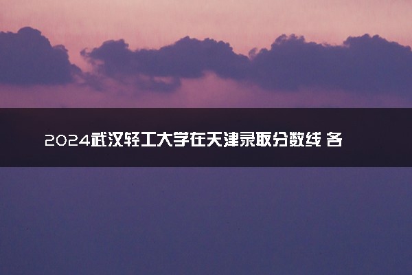 2024武汉轻工大学在天津录取分数线 各专业分数及位次