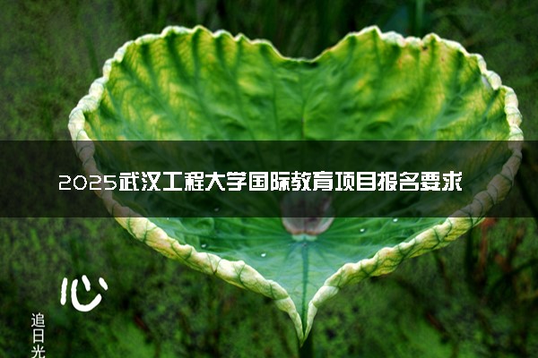 2025武汉工程大学国际教育项目报名要求及申请条件