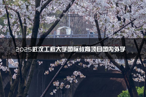 2025武汉工程大学国际教育项目国内外学费及住宿费