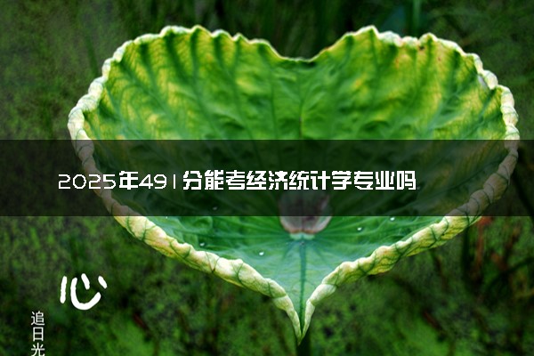 2025年491分能考经济统计学专业吗 491分经济统计学专业大学推荐
