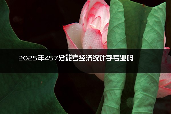 2025年457分能考经济统计学专业吗 457分经济统计学专业大学推荐