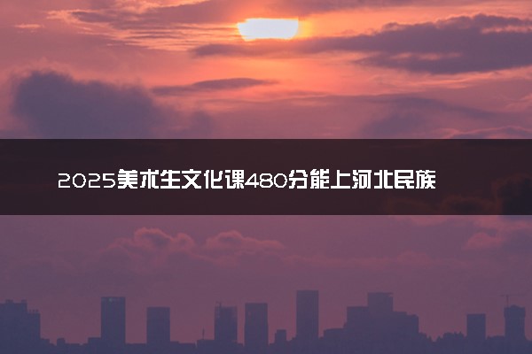 2025美术生文化课480分能上河北民族师范学院吗