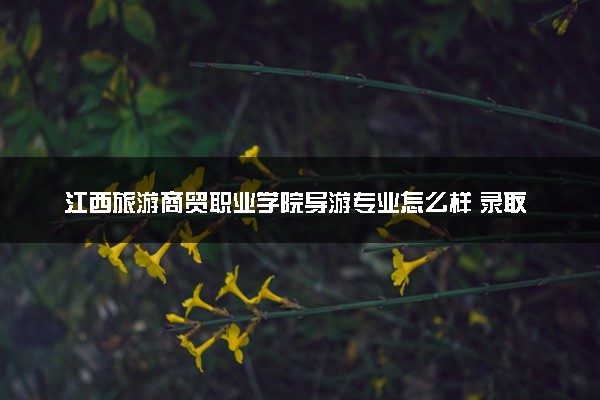 江西旅游商贸职业学院导游专业怎么样 录取分数线多少