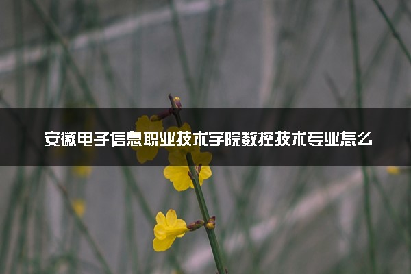 安徽电子信息职业技术学院数控技术专业怎么样 录取分数线多少