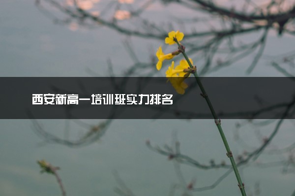 西安新高一培训班实力排名