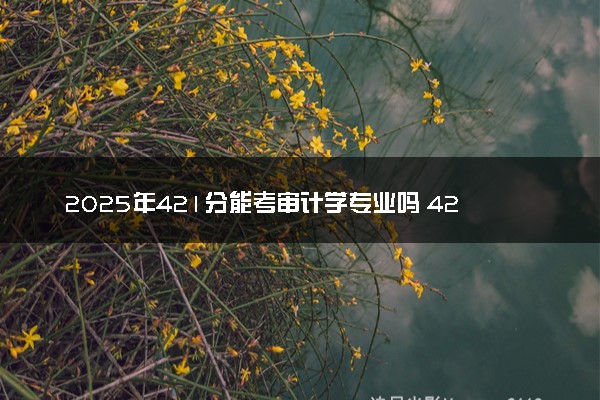 2025年421分能考审计学专业吗 421分审计学专业大学推荐