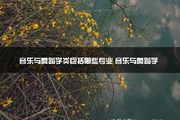 音乐与舞蹈学类包括哪些专业 音乐与舞蹈学类专业开设大学及专业代码