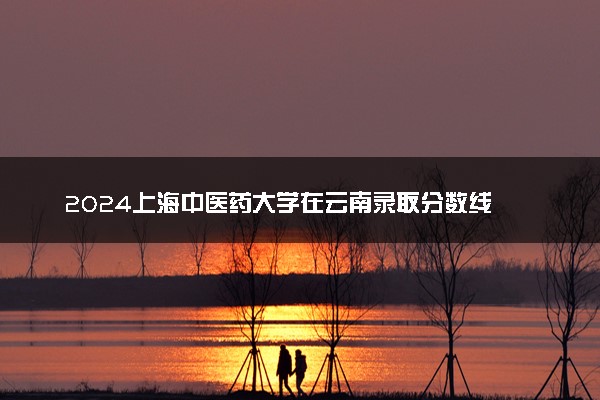 2024上海中医药大学在云南录取分数线 各专业分数及位次