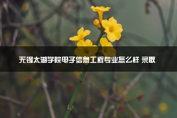 无锡太湖学院电子信息工程专业怎么样 录取分数线多少