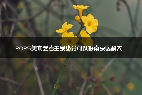 2025美术艺考生多少分可以报南京医科大学康达学院