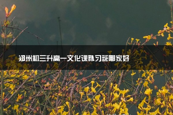 郑州初三升高一文化课补习班哪家好