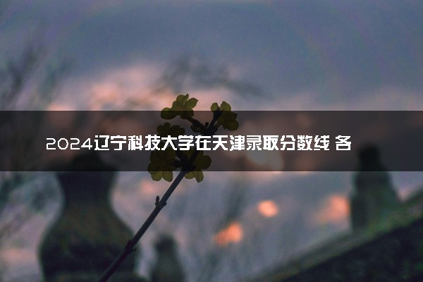 2024辽宁科技大学在天津录取分数线 各专业分数及位次