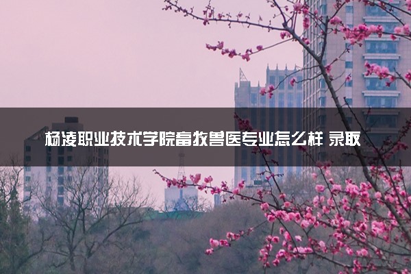 杨凌职业技术学院畜牧兽医专业怎么样 录取分数线多少