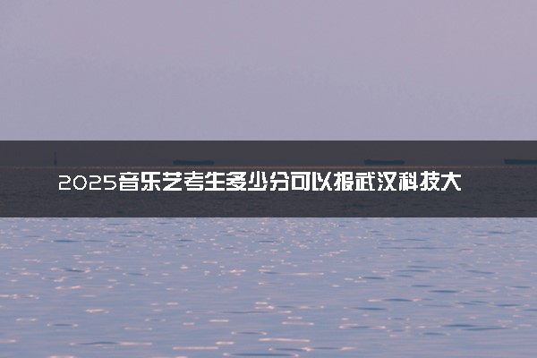 2025音乐艺考生多少分可以报武汉科技大学