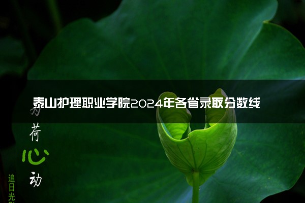 泰山护理职业学院2024年各省录取分数线 多少分能考上