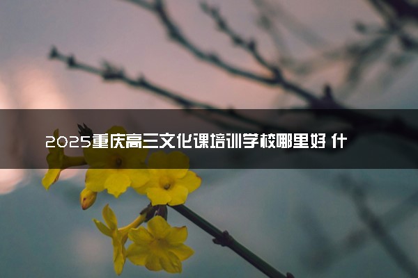 2025重庆高三文化课培训学校哪里好 什么学校值得报