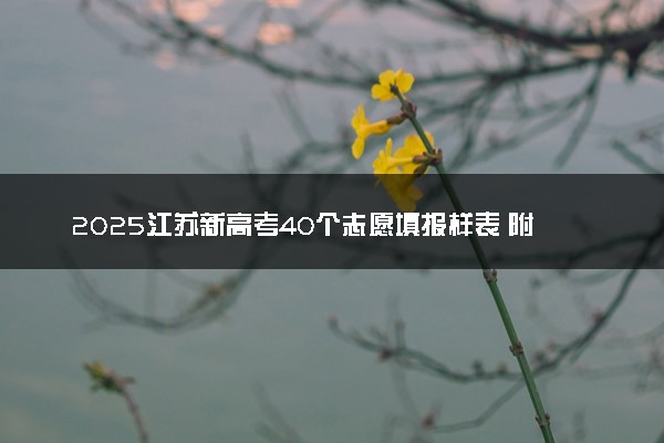 2025江苏新高考40个志愿填报样表 附志愿填报设置及规则