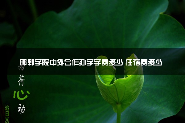 邯郸学院中外合作办学学费多少 住宿费多少