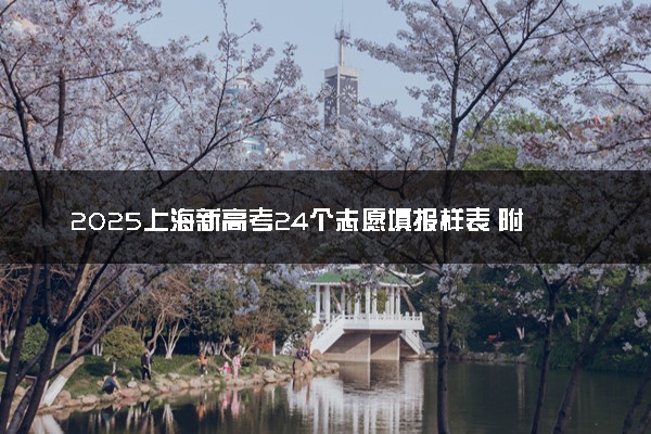 2025上海新高考24个志愿填报样表 附志愿填报设置及规则