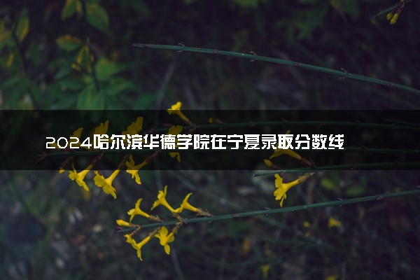 2024哈尔滨华德学院在宁夏录取分数线 各专业分数及位次