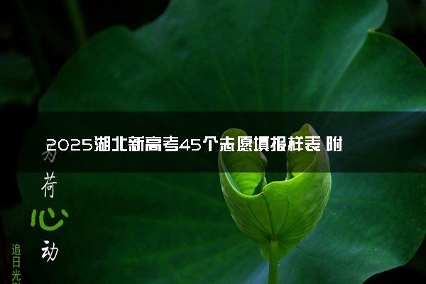 2025湖北新高考45个志愿填报样表 附志愿填报设置及规则