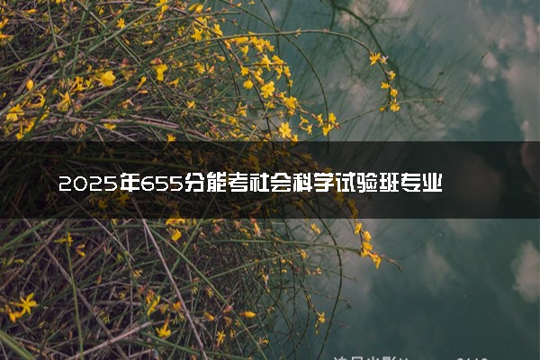 2025年655分能考社会科学试验班专业吗 655分社会科学试验班专业大学推荐