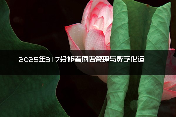 2025年317分能考酒店管理与数字化运营专业吗 317分酒店管理与数字化运营专业大学推荐