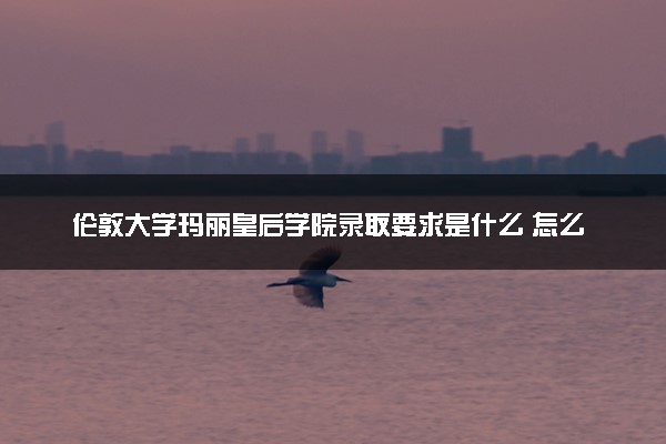 伦敦大学玛丽皇后学院录取要求是什么 怎么提高录取率