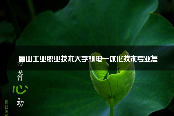 唐山工业职业技术大学机电一体化技术专业怎么样 录取分数线多少