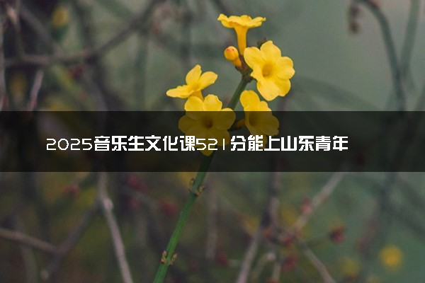 2025音乐生文化课521分能上山东青年政治学院吗