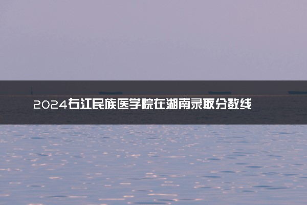2024右江民族医学院在湖南录取分数线 各专业分数及位次
