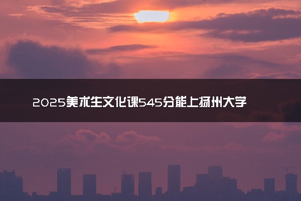 2025美术生文化课545分能上扬州大学吗