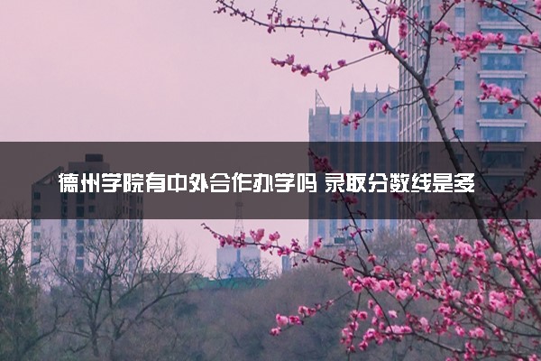 德州学院有中外合作办学吗 录取分数线是多少