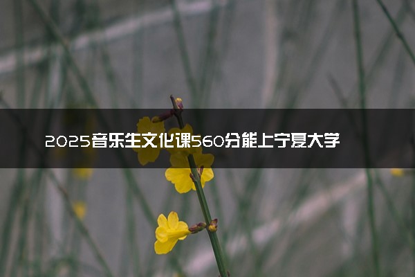 2025音乐生文化课560分能上宁夏大学吗