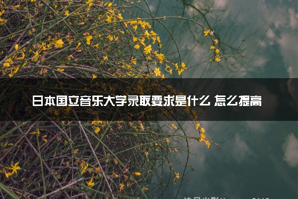 日本国立音乐大学录取要求是什么 怎么提高录取率