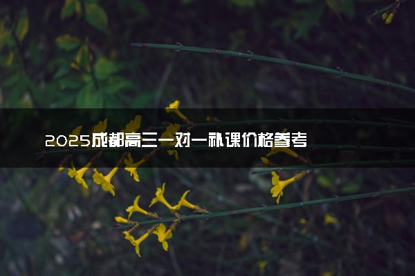 2025成都高三一对一补课价格参考