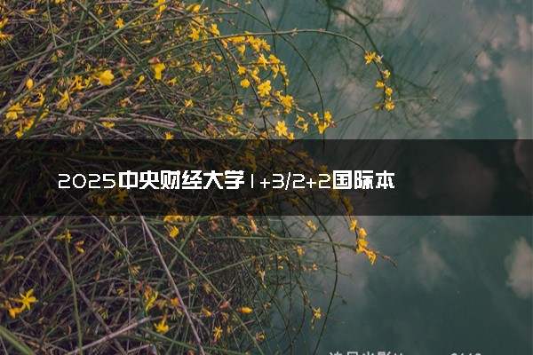 2025中央财经大学1+3/2+2国际本科海外对接院校和专业