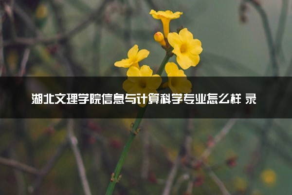 湖北文理学院信息与计算科学专业怎么样 录取分数线多少