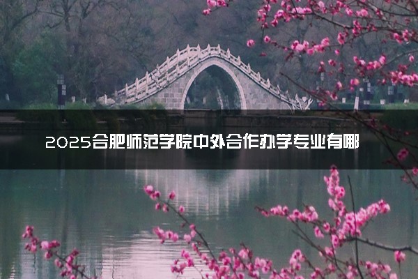 2025合肥师范学院中外合作办学专业有哪些 代码是什么