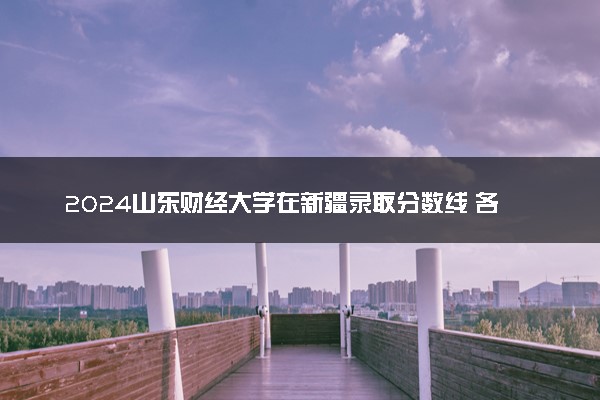 2024山东财经大学在新疆录取分数线 各专业分数及位次