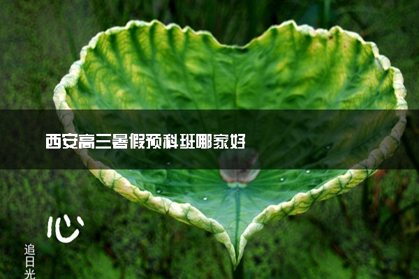 西安高三暑假预科班哪家好