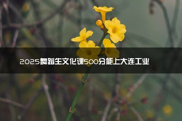 2025舞蹈生文化课500分能上大连工业大学吗