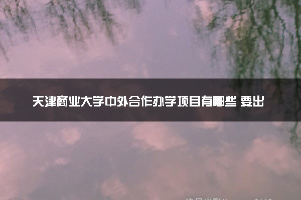 天津商业大学中外合作办学项目有哪些 要出国吗