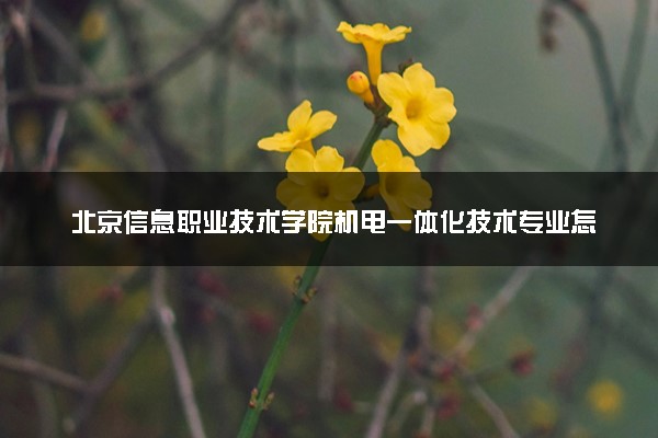 北京信息职业技术学院机电一体化技术专业怎么样 录取分数线多少