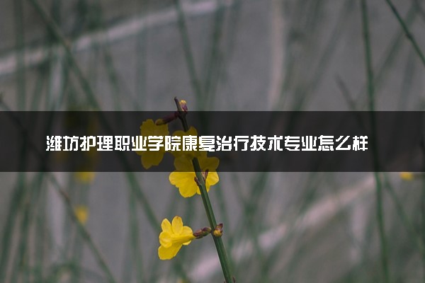 潍坊护理职业学院康复治疗技术专业怎么样 录取分数线多少
