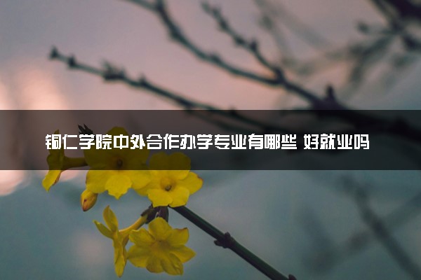 铜仁学院中外合作办学专业有哪些 好就业吗